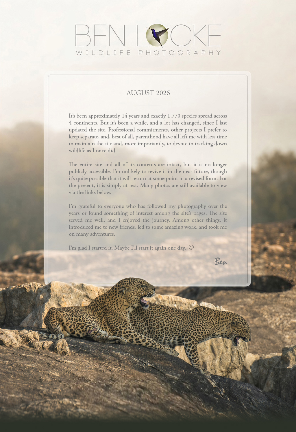 Leopards by Ben Locke