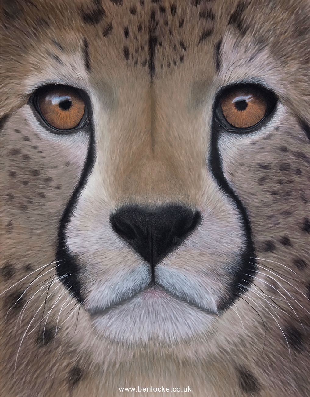 Cheetahonline