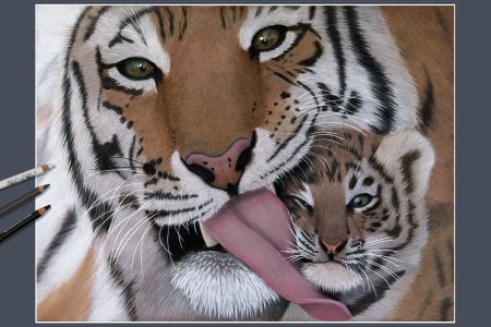 Tiger & Cub complete