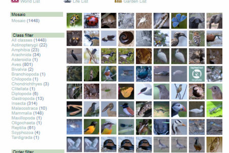 Species list more responsive