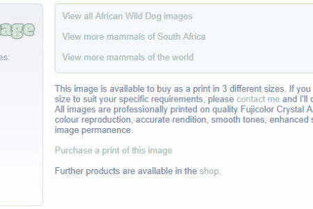 Context-sensitive gallery options