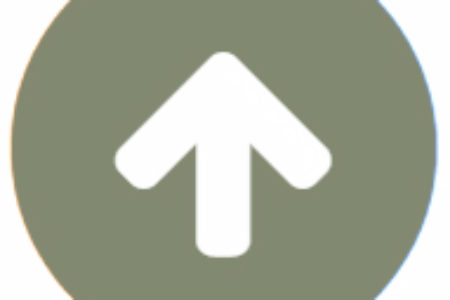Scroll to top