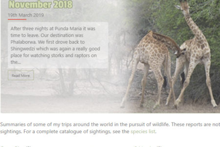 Trip reports tweak