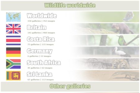 Gallery page tweak pt.2