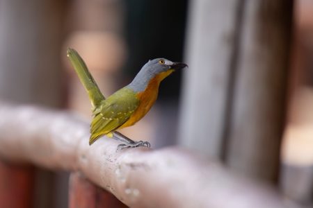 4 continents in 1 post