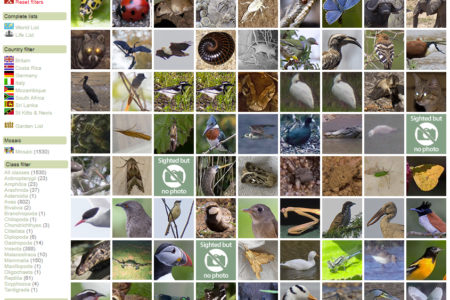 Species List mosaic