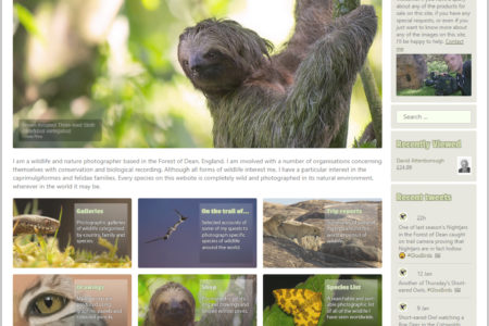 Home page redesign