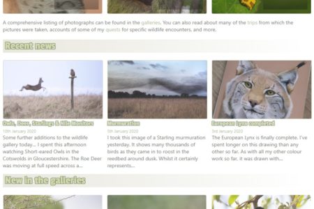 Homepage tweaks